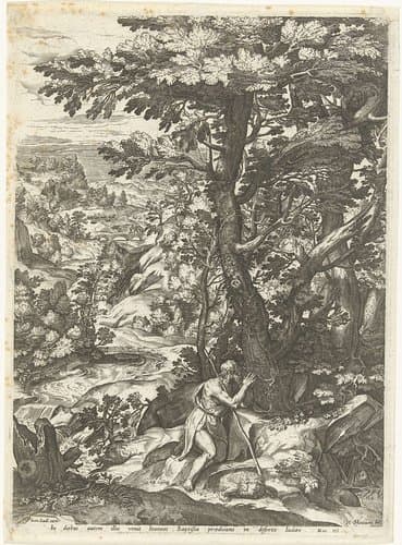 Portrait of anonymous; Cornelis Cort