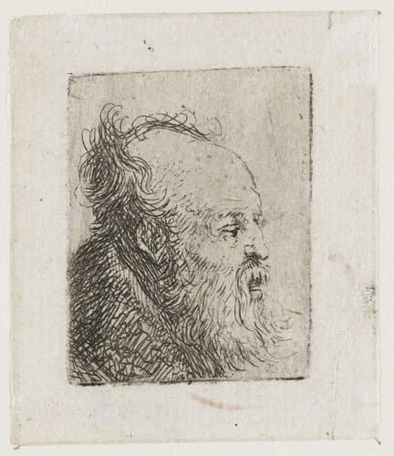 Old Bearded Man, with Mouth Half Open by Rembrandt van Rijn