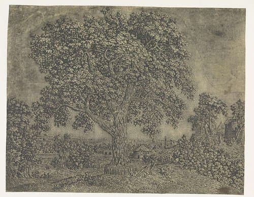 The Large Tree by Hercules Segers
