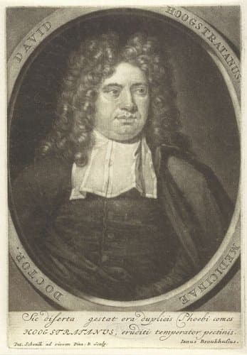 Portret van David Fransz. van Hoogstraten by Pieter Schenk (I)