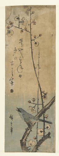 Japanse struikzanger op pruimentak, met haiku by Hiroshige (I) , Utagawa