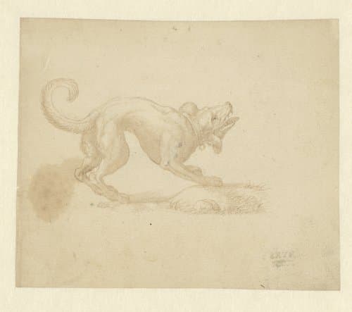 Blaffende hond, naar rechts by anonymous