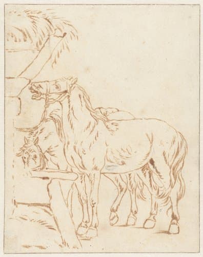 Two Horses by a Trough by anonymous