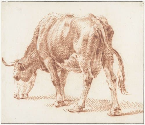 Grazende koe by Pieter van Bloemen