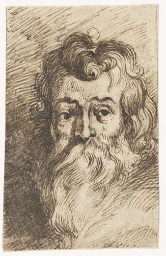 Manshoofd met lange baard by Peter Paul Rubens