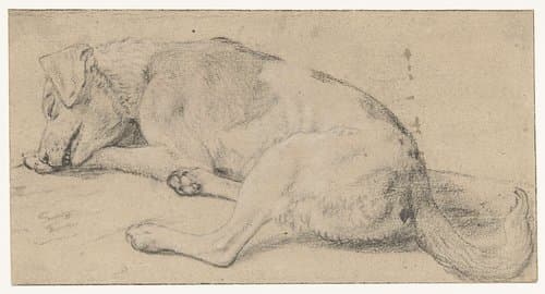 Een slapende hond by Frans Snijders