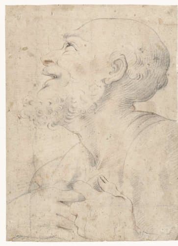 Borstbeeld van een lachende oude man by unknown