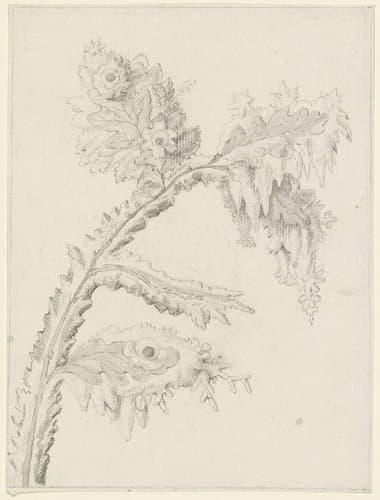 Eikenbladeren by anonymous