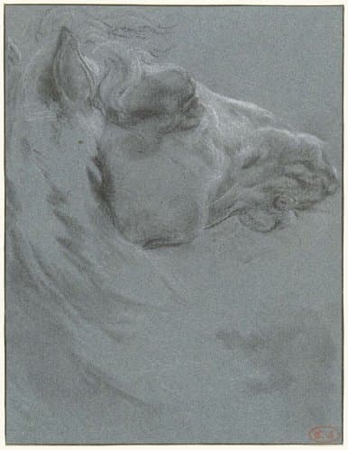 Hoofd van een paard by Francesco Giuseppe Casanova