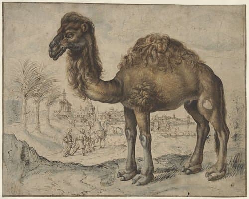 Dromedary in an Eastern Landscape with a City by Maerten de Vos; Hans Rottenhammer (I)