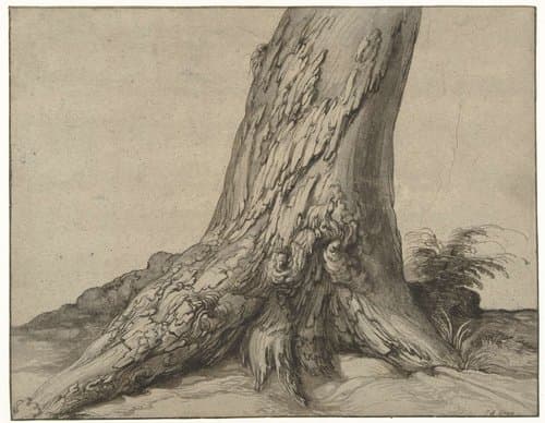 Studie van de stam van een boom met wortels by Jacques de Gheyn (II)