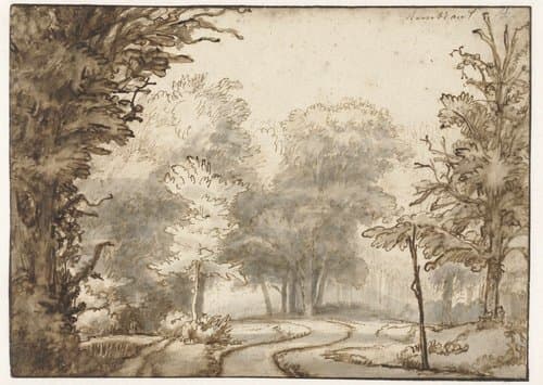 Weg door het bos by Abraham Furnerius