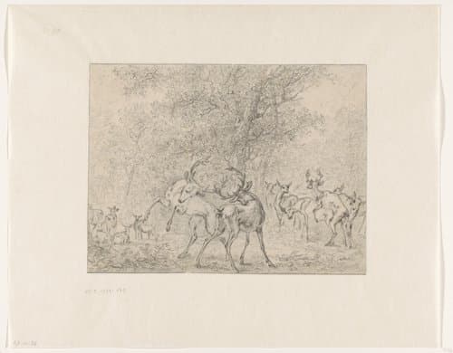 Groep herten in het bos by Paulus Potter
