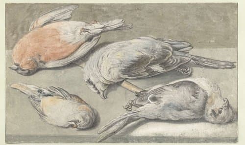 Still Life with Four Dead Birds by Elias Vonck