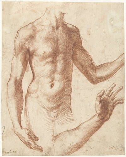 Study of a Torso by Perino del Vaga