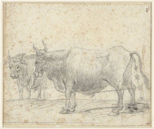 Studies van vee by Claude Lorrain