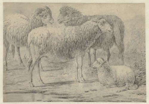 Portrait of Jan van der Meer (II)