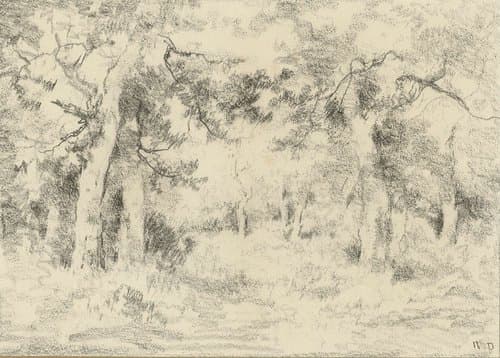 Bosgezicht in de zomer by Narcisse Virgile Diaz de la Peña