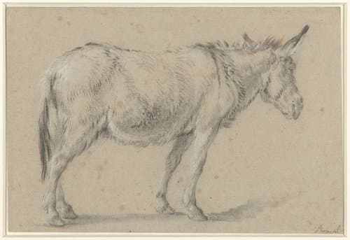 Staande ezel by François Boucher