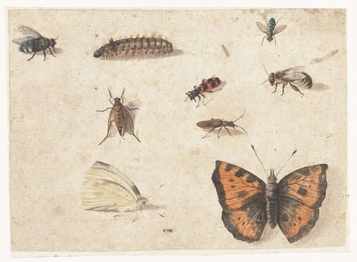 Blad met negen insecten