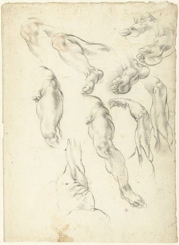 Studieblad met armen en benen by Giovanni Alberti