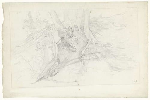 Boomgroep met wortels boven de grond by Camille Jacob Pissarro