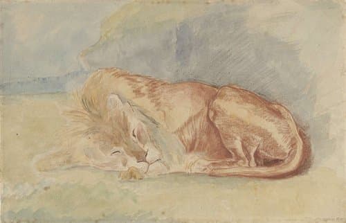 Portrait of Charles Edmé Saint-Marcel-Cabin