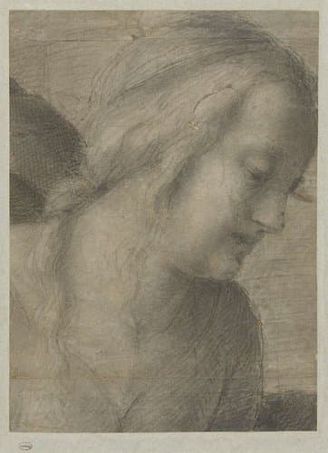Hoofd van Maria, in een Aanbidding by Andrea del Sarto