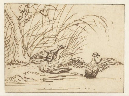 Drie eenden aan de waterkant by Anthonie van Borssom