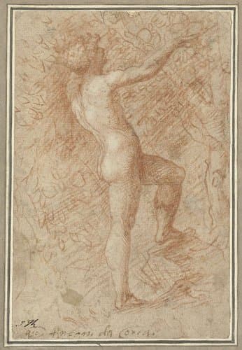 Adam plukt de appel van de boom by Correggio