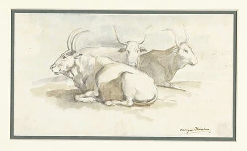 Drie buffels op het Forum liggende by Etienne de Lavallée-Poussin