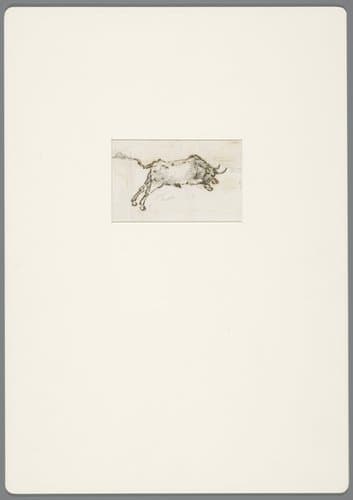 Stier in galop in de aanval by David Alphonse de Sandoz-Rollin