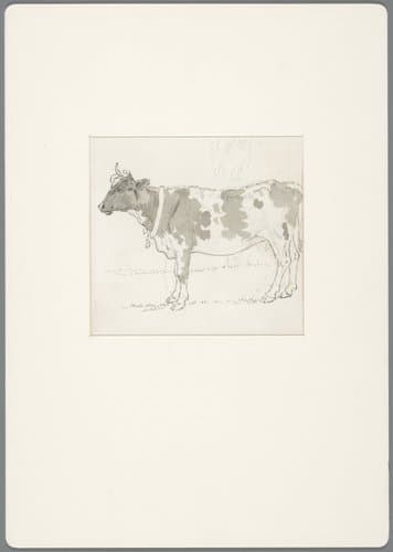Staande koe, met een klok om de hals by David Alphonse de Sandoz-Rollin