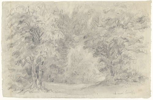 Gezicht in een bos by Eugène Delacroix