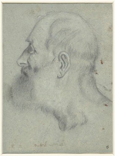 Hoofd van man met baard by Bonifazio Veronese