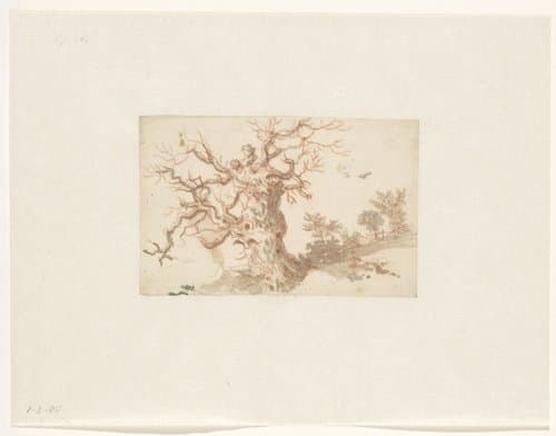 Knoestige boom by Jan Griffier (I)