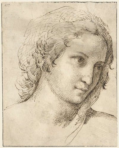 Hoofd van een jonge vrouw met een sluier by Agostino Carracci
