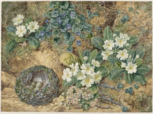 Stilleven van een vogelnestje, viooltjes, primula's en appelbloesem by Thomas Frederick Collier