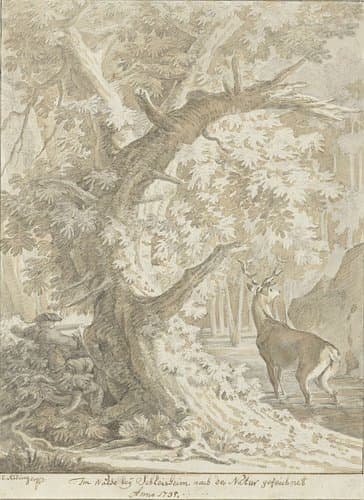Jager legt aan op een edelhert in het water onder een oude boom by Johann Elias Ridinger