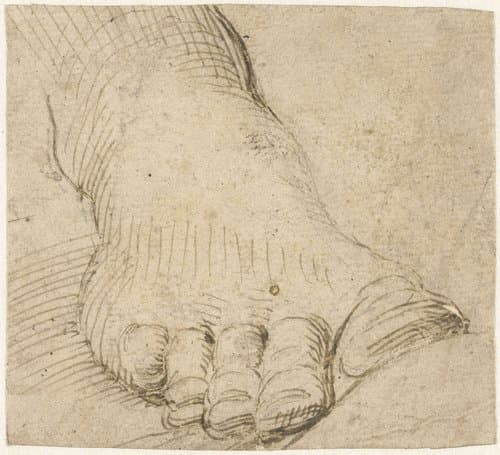 Studie van een rechtervoet by Agostino Carracci