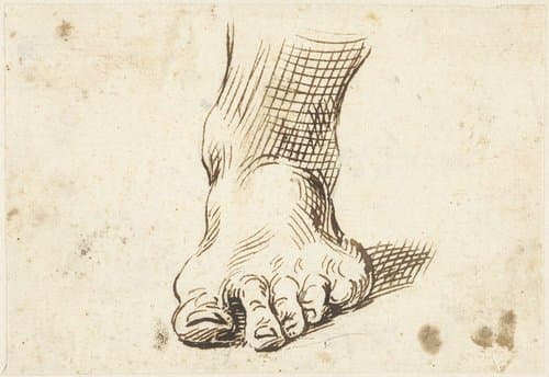 Studie van een linkervoet by Agostino Carracci