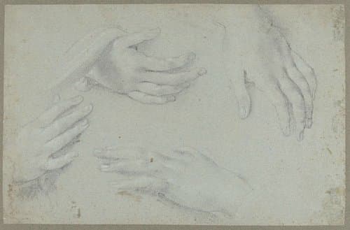 Vier studies van een hand by Carlo Dolci
