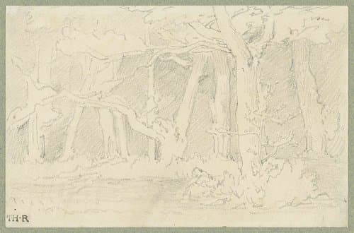 Schetsje van boomstammen by Théodore Rousseau