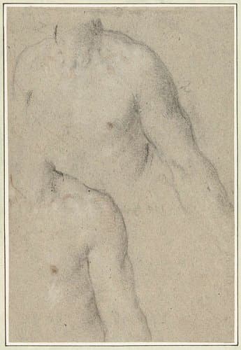 Twee studies van de torso van een jongeman by Carlo Caliari