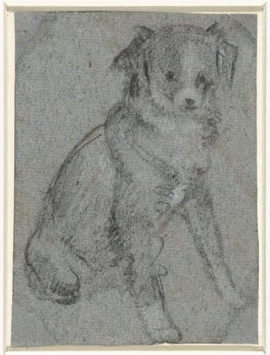 Zittend hondje by anonymous