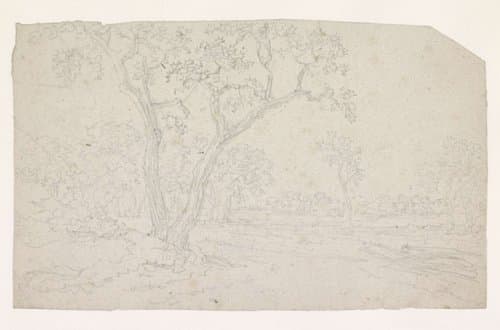 Bomen in een vlak landschap by Georges Michel