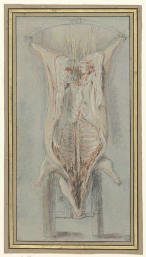 Geslacht varken op een leer by Jean Baptiste Siméon Chardin