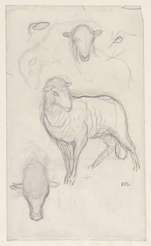 Studie van een schaap en drie schaapskoppen