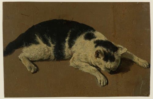 Kat liggend met de kop tussen de voorpoten by Adriaen van de Velde
