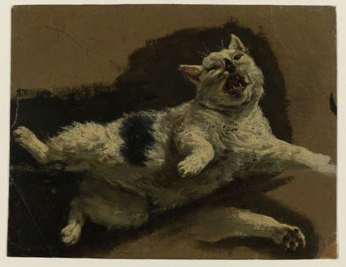 Kat liggend op de rug en los pootje by Adriaen van de Velde